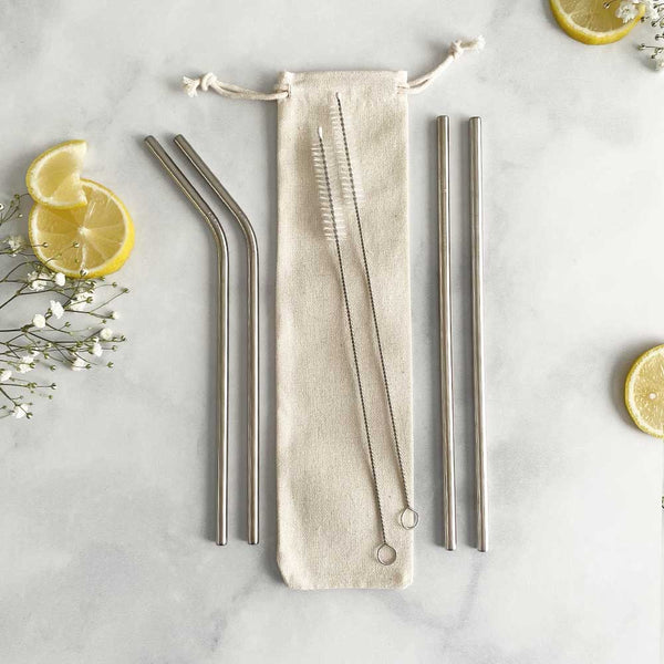 Stainless Steel Straws – Sister Collective