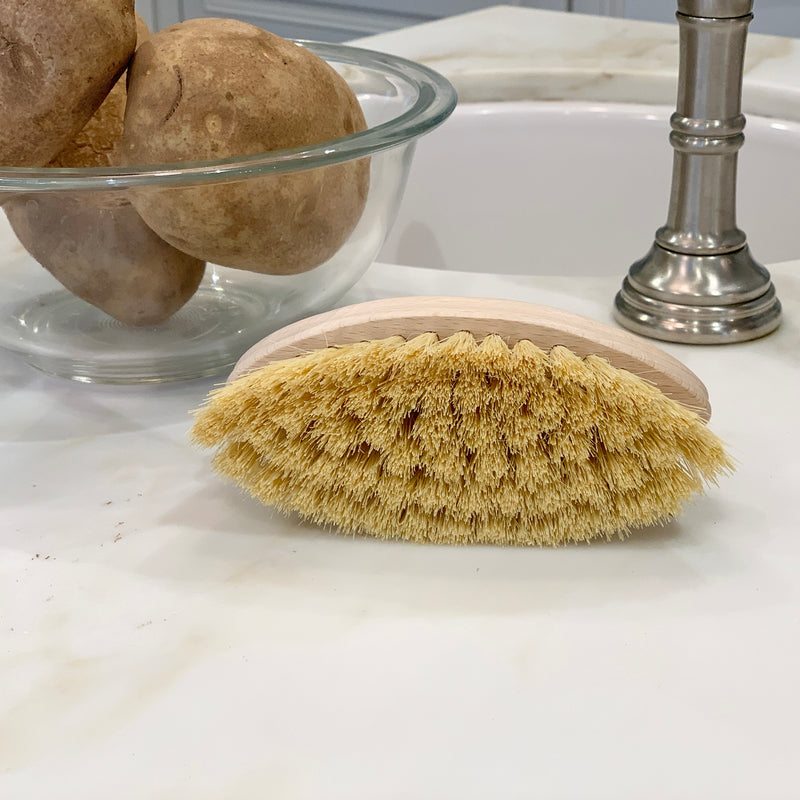 Handheld Dish Brush – Sister Collective