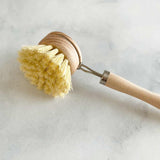 https://www.thesistercollective.com/cdn/shop/products/beechwood-dish-brush_compact.jpg?v=1701323697