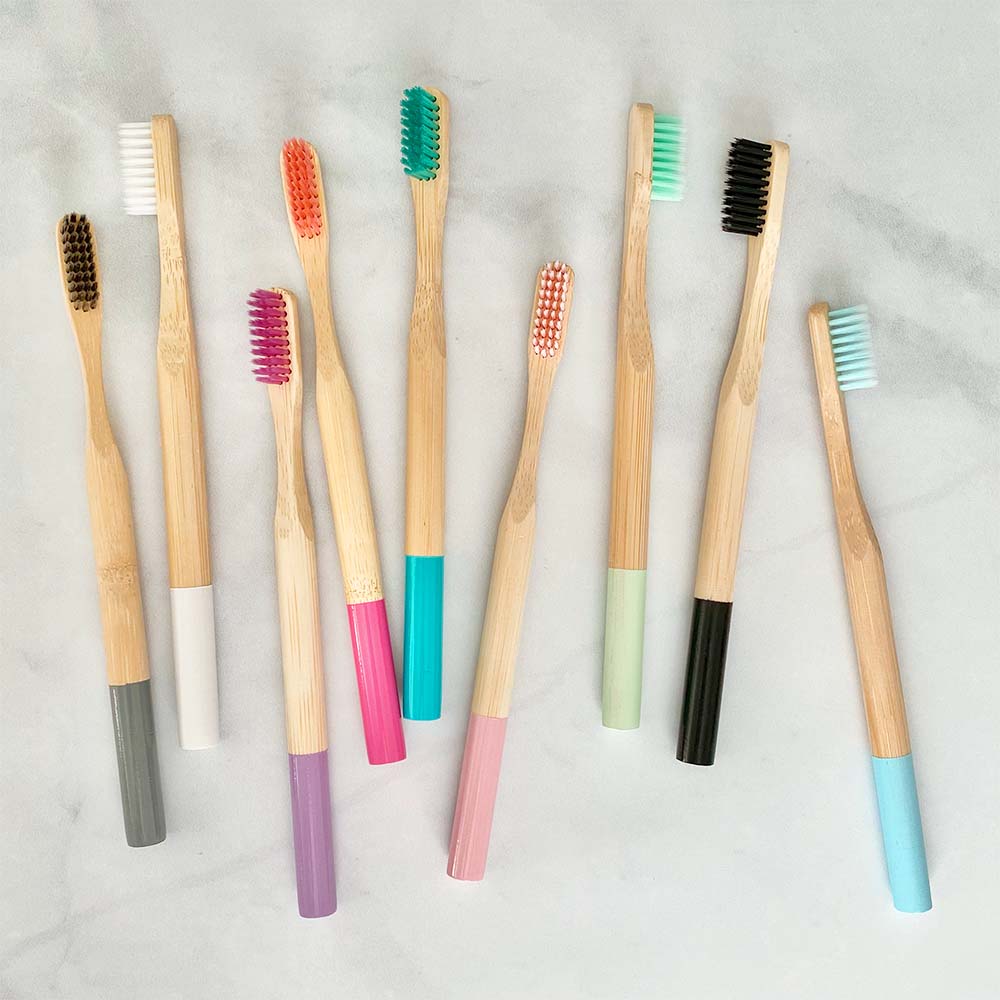 https://www.thesistercollective.com/cdn/shop/products/biodegradable-toothbrush_0000_toothbrush-set_1_1024x1024.jpg?v=1672703464