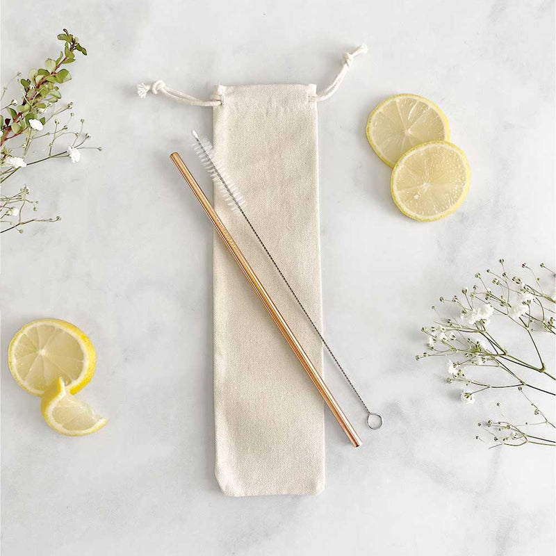 Stainless Steel Straws – Sister Collective