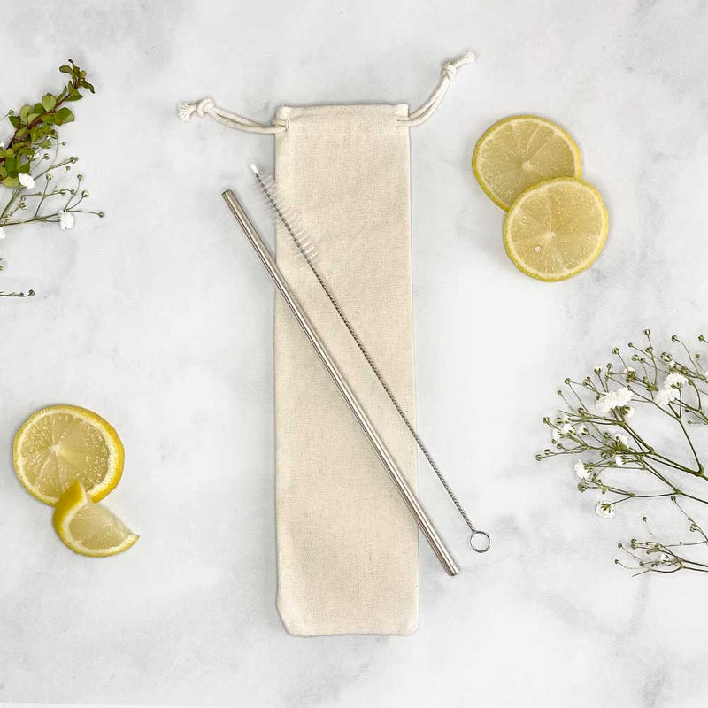 Stainless Steel Straws – Sister Collective